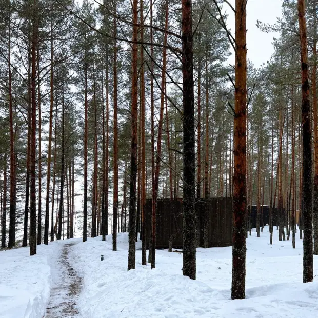 Отправляемся в сердце Карелии вместе с отелем "Точка на карте. Видлица"