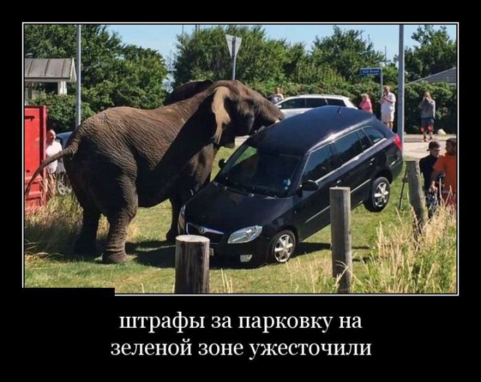 Демотиваторы демотиваторы, юмор
