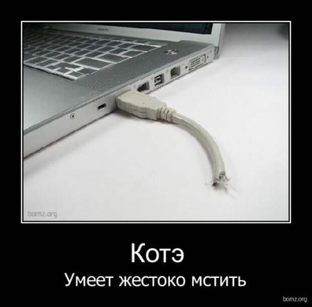Смешные новенькие демотиваторы.