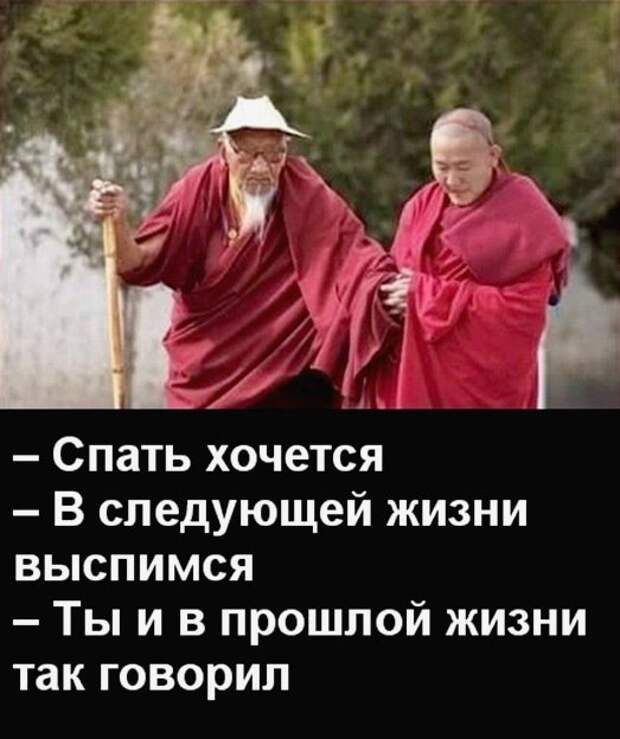 Подборка картинок (20 фото)