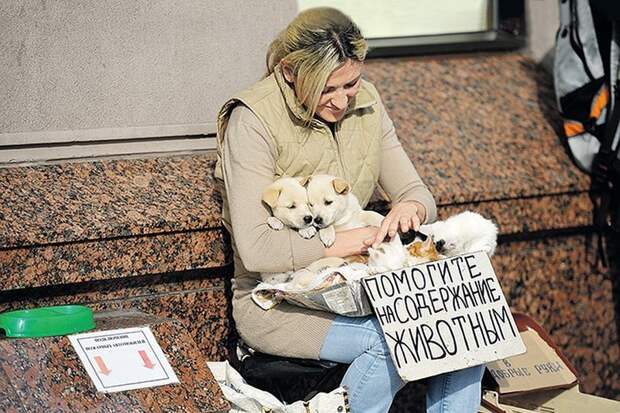 В Москве животным запретят попрошайничать ynews, животные, запрет, москва, новости, попрошайки