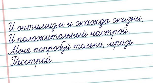 Странный юмор открытки, юмор