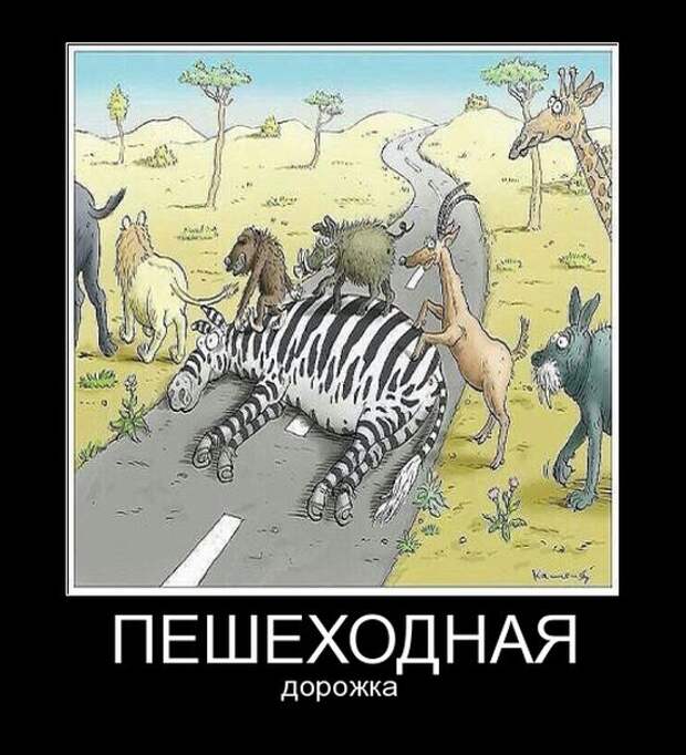 Демотиваторы (30 фото)