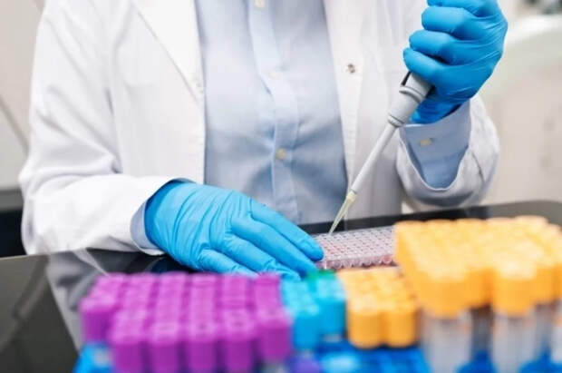 Гастроэнтеролог Сухарева назвала причины повышения амилазы в анализах крови