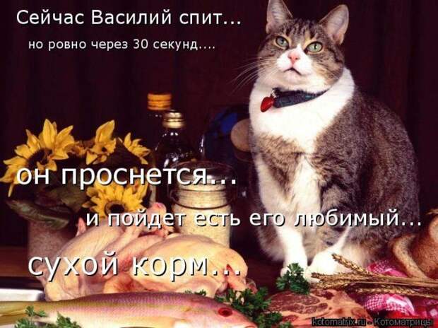 Мысли вслух :)
