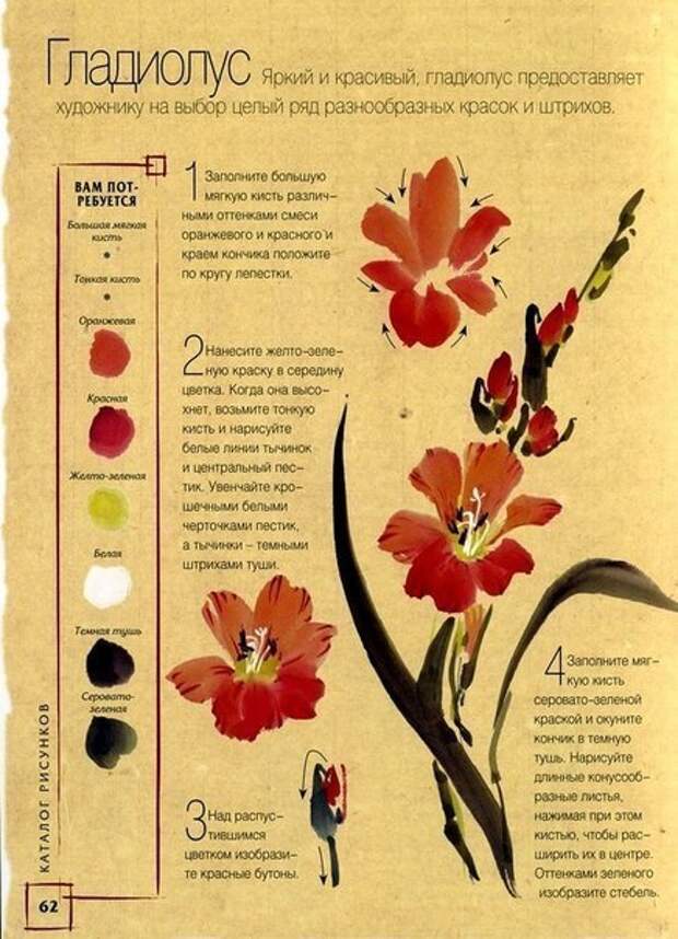 как нарисовать цветок