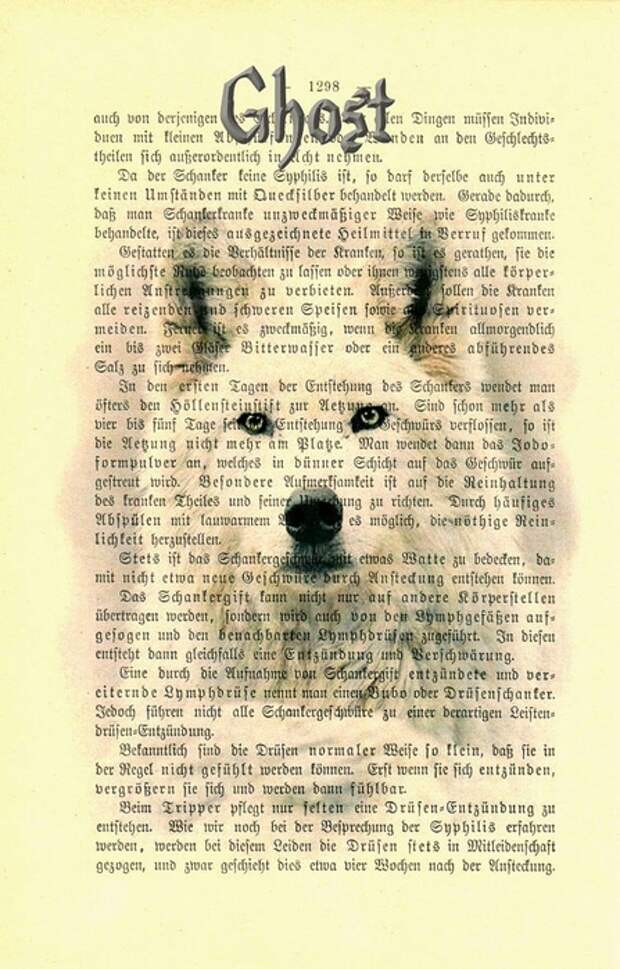 принты на книжных страницах (9) (447x700, 264Kb)