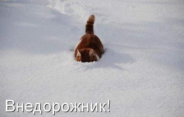 Подборка автоприколов - 12