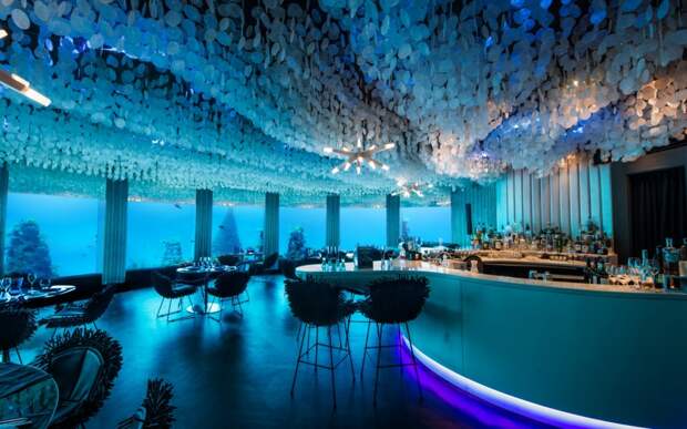 327510-R3L8T8D-1000-maldives0615-underwater