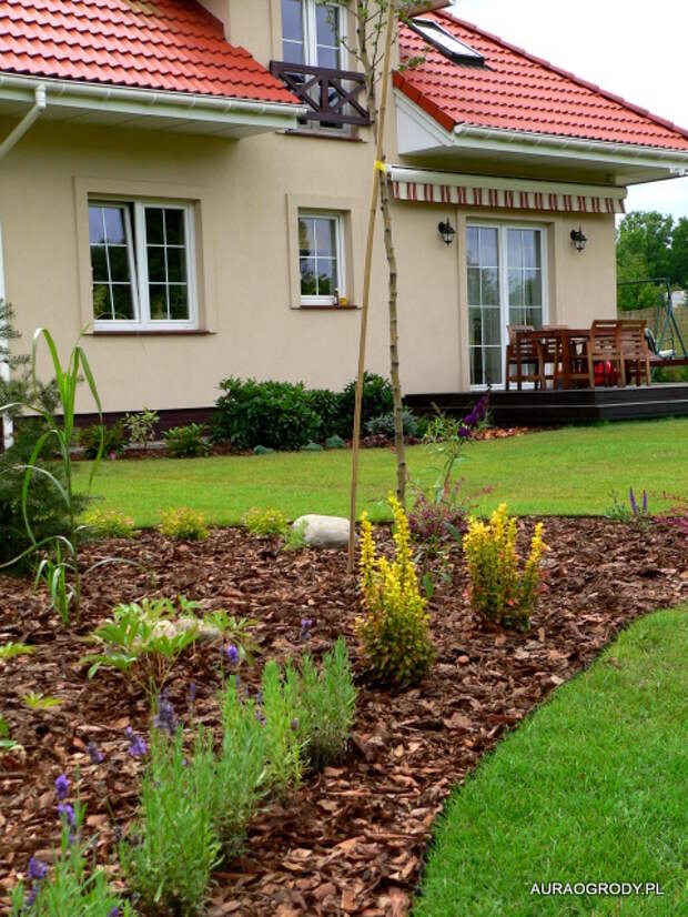 P1240495 (480x640, 221Kb)