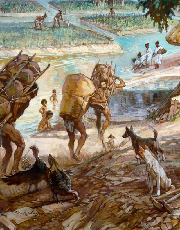Приручение собак и других животных в цивилизации Майя. Археологические находки в Сейбаль, Гватемала.