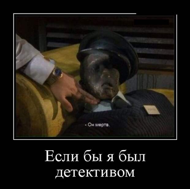 Демотиваторы (30 фото)