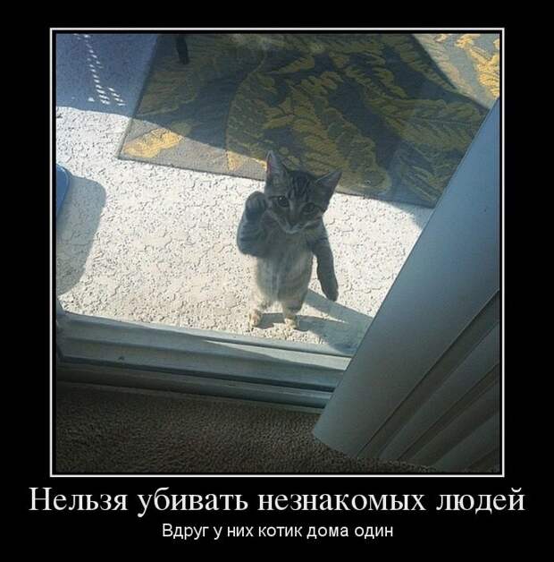 Cвежая порция демотиваторов Cвежая порция демотиваторов