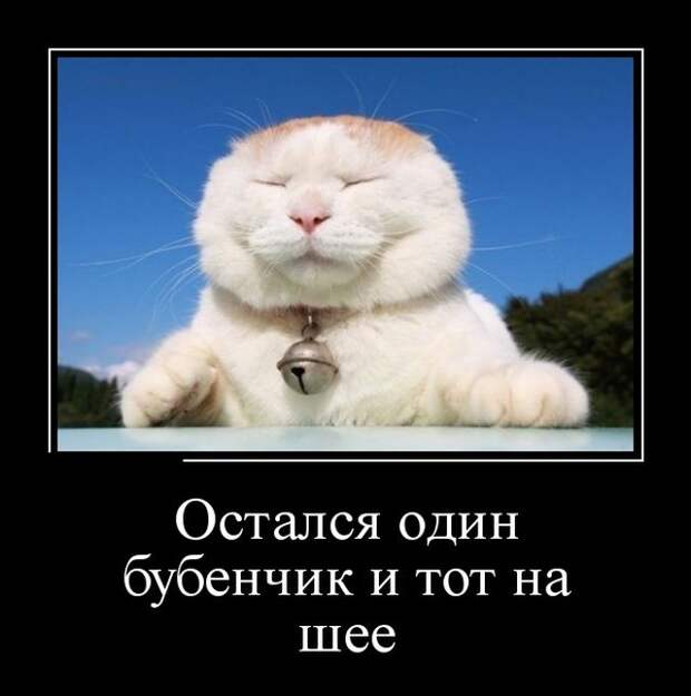 Позитивные и смешные демотиваторы со смыслом (10 фото)