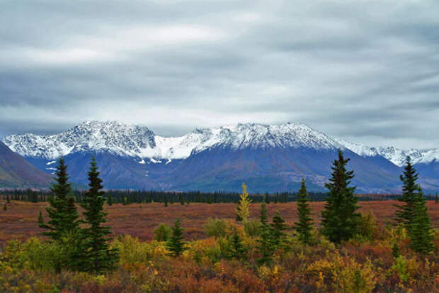 МВД США разрешило бурение в Аляскинском заповеднике