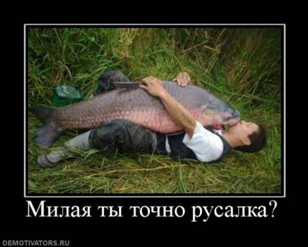 Демотиваторы это не просто прикольные фотки, но еще и множество смешных подписей.