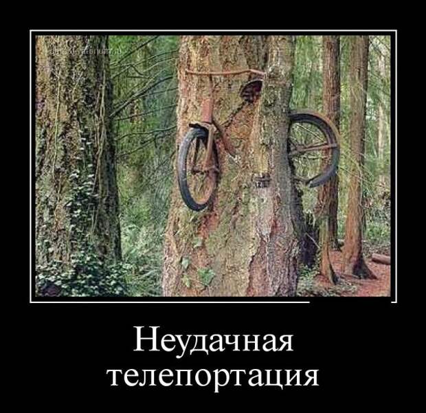 Демотиваторы демотиваторы, прикол, смех, юмор