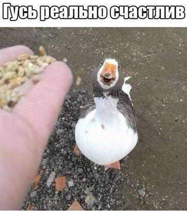 Приколы из соц сетей (25 фото)