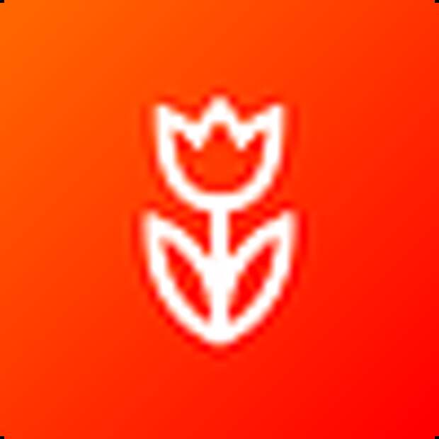 Онлайн-платформа Flowwow