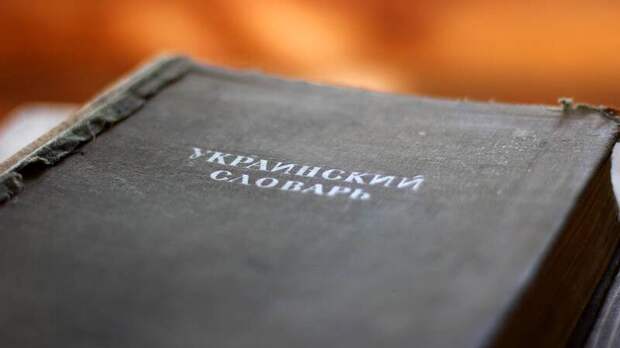 Историк Каревин: на Украине русскоязычная «Википедия» в четыре раза популярнее украиноязычной