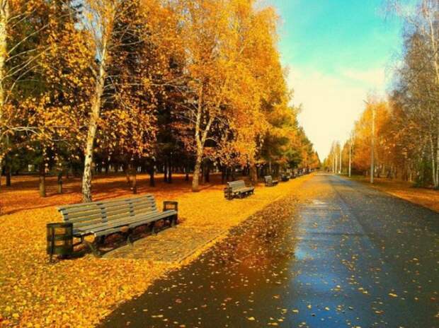 Красивые фотографии осенней природы