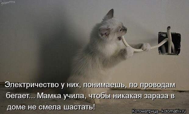 Лучшие котоматрицы за неделю