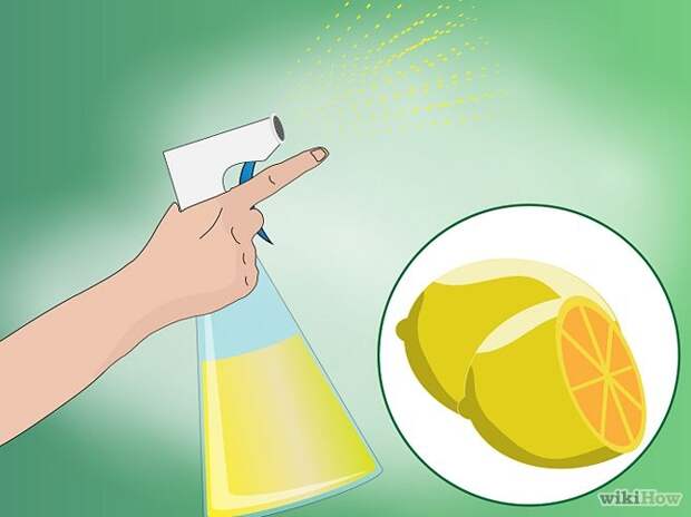 Make Homemade Cat Repellent Step 7.jpg