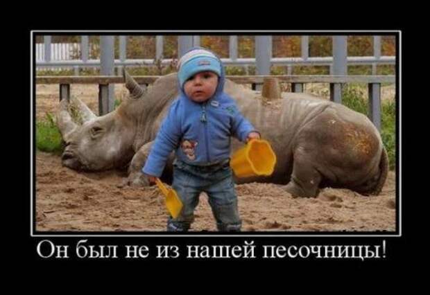 Свежие демотиваторы Свежие демотиваторы