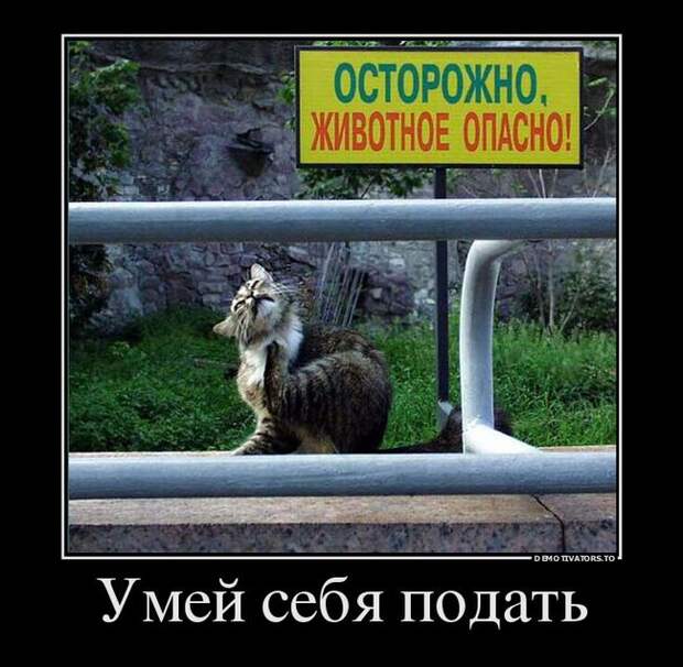 Демотиваторы  демотиваторы, прикол, смех, юмор