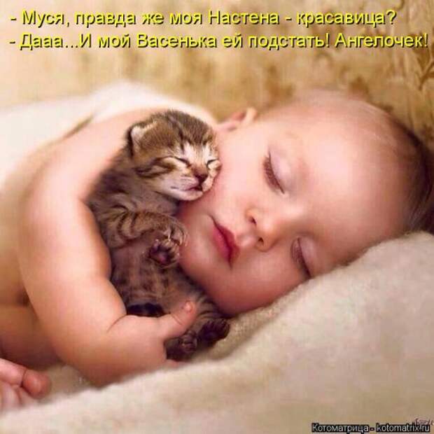 Свежая котоматрица (33 фото)