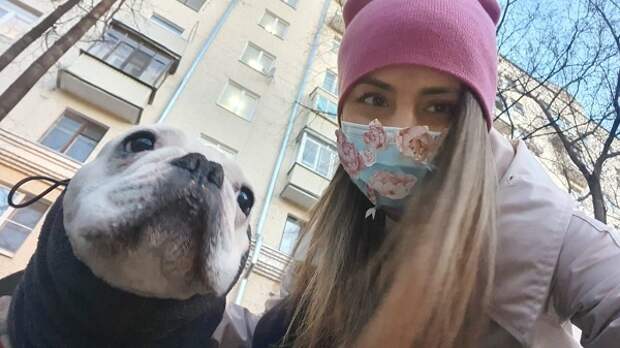 Выгул питомцев / Фото: ЕР