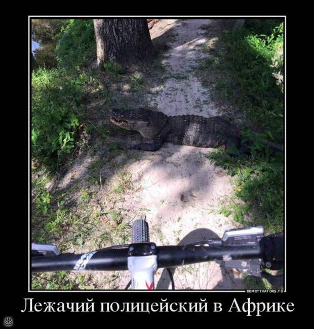 От судьбы не уйдёшь! 19