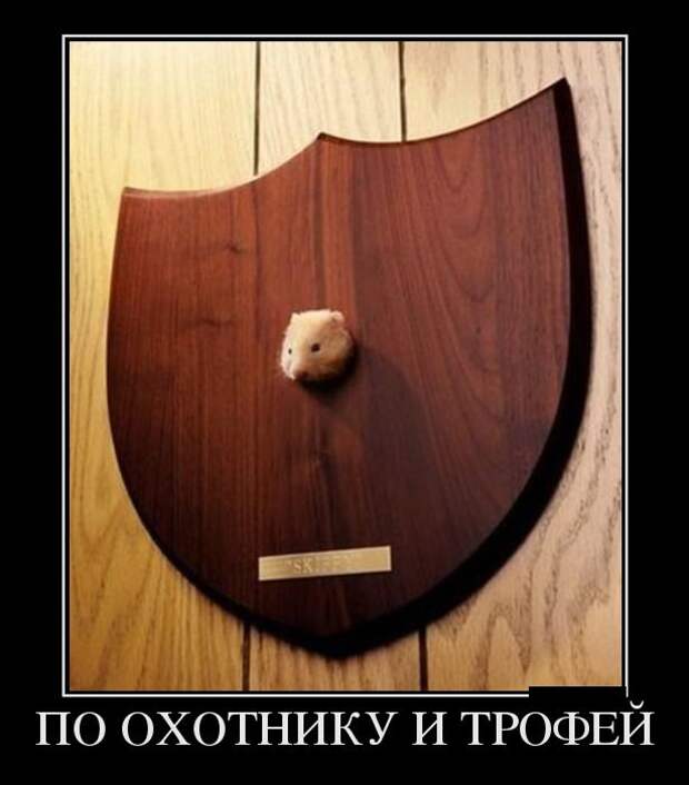 Подборка демотиваторов Подборка демотиваторов демотиваторы, юмор