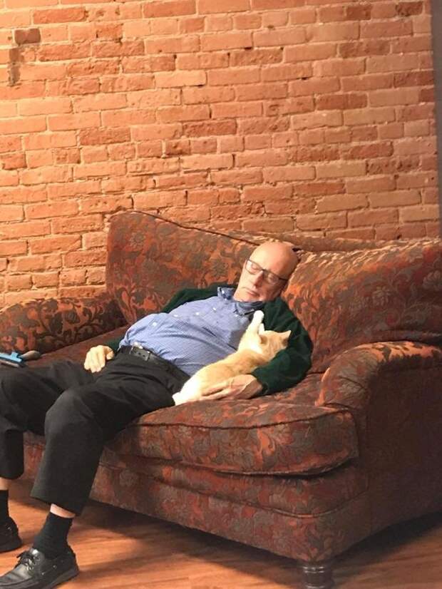 дедушка и кот
