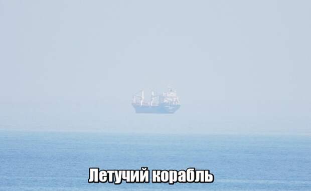 Подборка интересных картинок (20 фото)