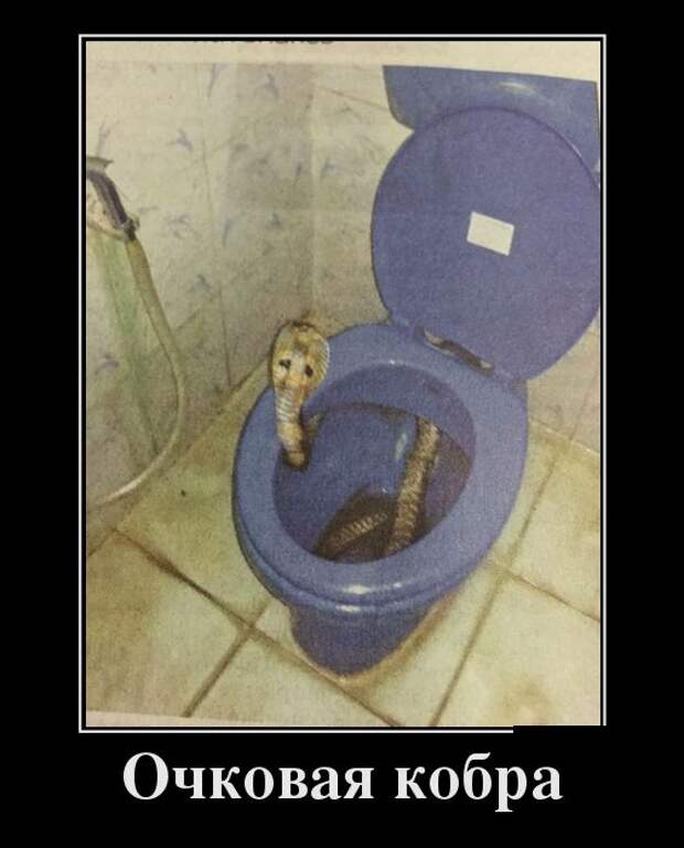 Демотиваторы (30 фото)