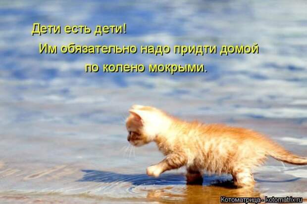Лучшие котоматрицы недели