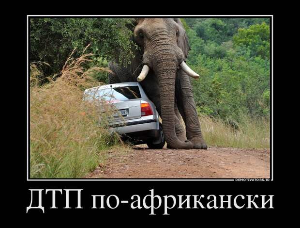 Демотиваторы  демотиваторы, прикол, смех, юмор