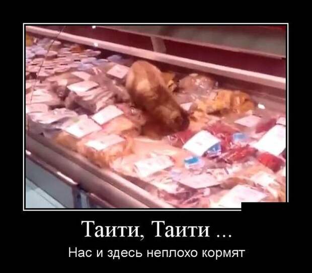 Демотиваторы (30 фото) Демотиваторы (30 фото)