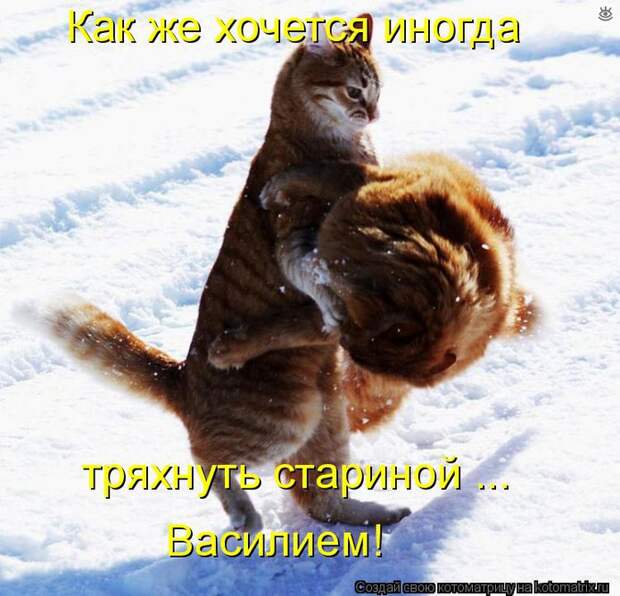 Чудная котоматрица 25