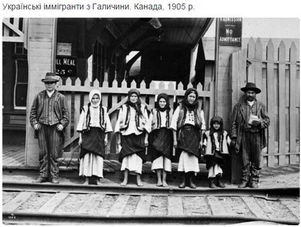 CamxSi-UkAA2-bk.jpg