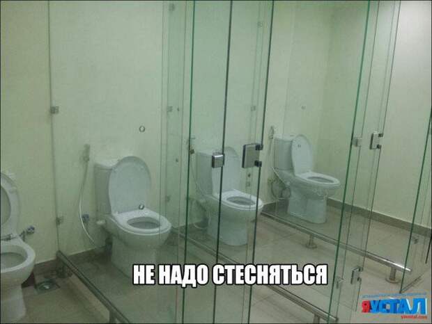 Смешные картинки с надписями прикол, юмор