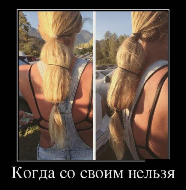 Демотиваторы (30 фото)