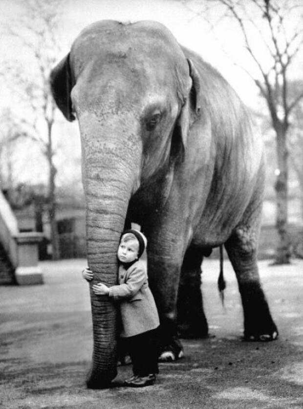 Друзья, лондонский зоопарк, 1958 год. Фотограф: Edward Grossi. история, люди, мир, фото