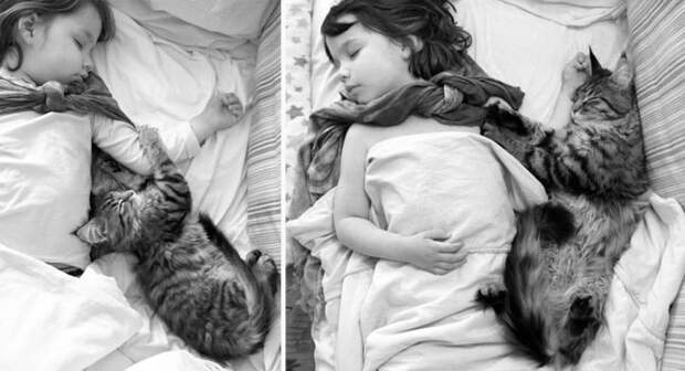 5-летняя девочка аутист и ее терапевтическая кошка Тула айрис грейс  (20)