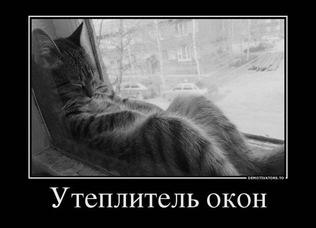Демотиваторы демотиваторы, картинки, приколы