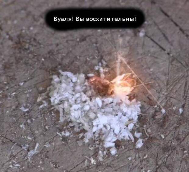 Как разжечь огонь при помощи пустой зажигалки? Как разжечь огонь при помощи пустой зажигалки?