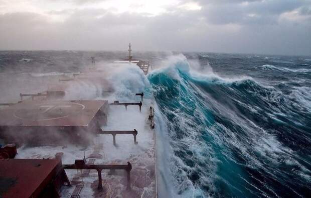 Прикольные картинки Прикольные картинки