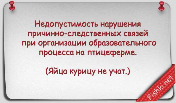 Русские пословицы и поговорки научным языком наука, поговорки, пословицы