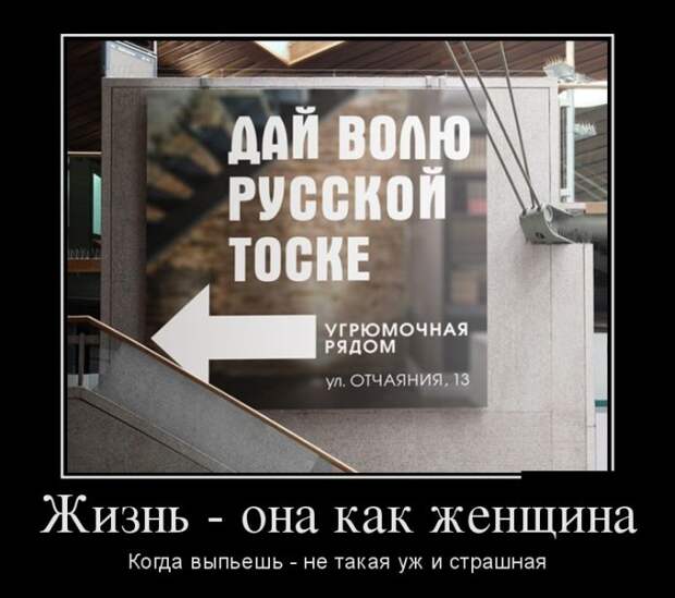 Демотиваторы бревно, демотиваторы, юмор